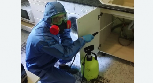 Уничтожение муравьев в квартире. Лысково