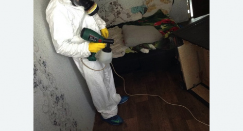 Обработка квартир от насекомых в Лысково