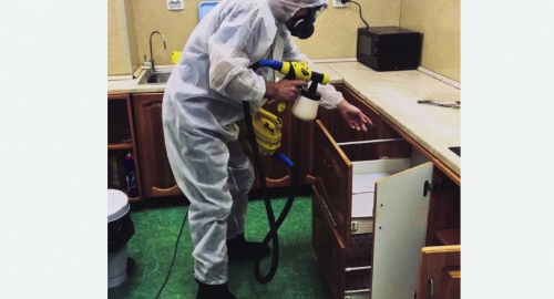 Дезинсекция квартиры. Лысково
