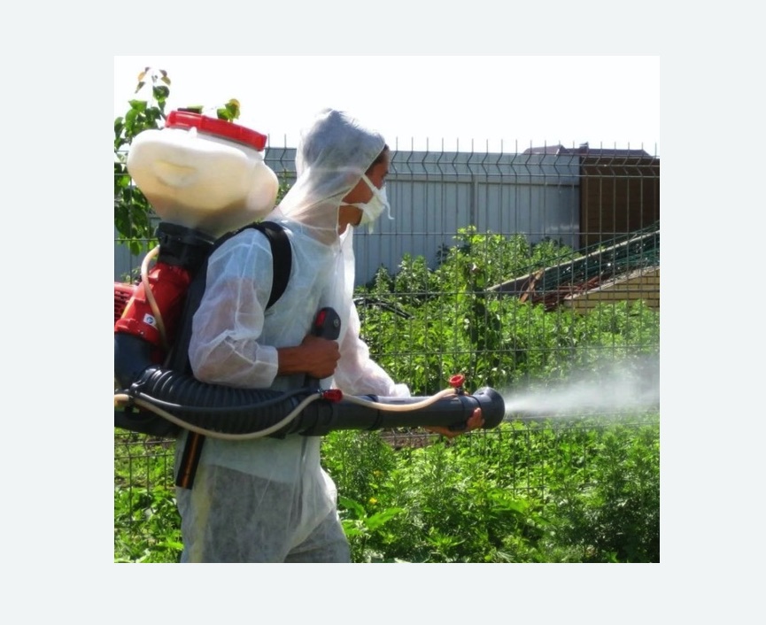 Акарицидная обработка территории в Лысково