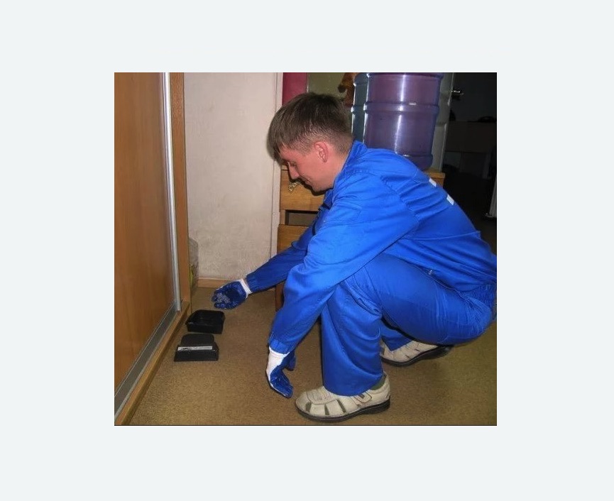 Дератизация крыс в Лысково