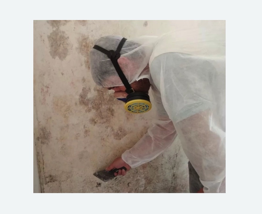 Обработка стен от плесени в Лысково