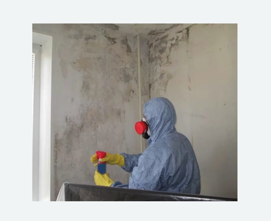 Удаление плесени в квартире в Лысково