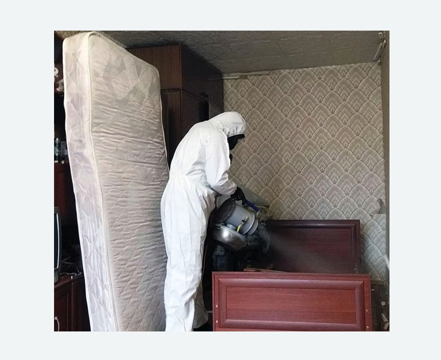 дезинфекция от клопов в Лысково