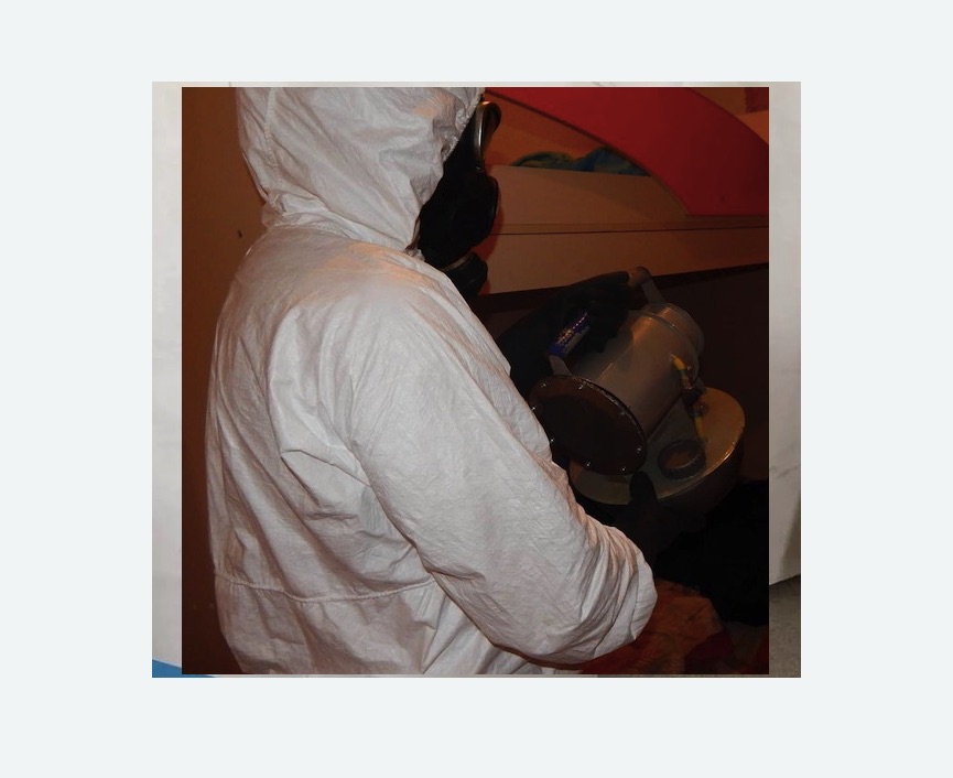 Дезинфекция от муравьев в Лысково