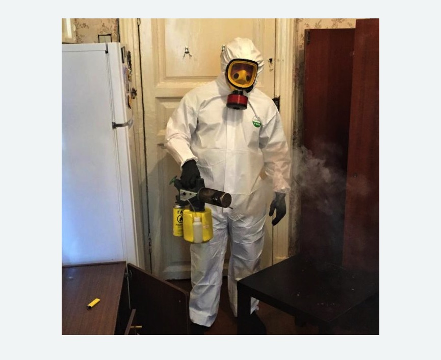 уничтожение муравьев в квартире в Лысково